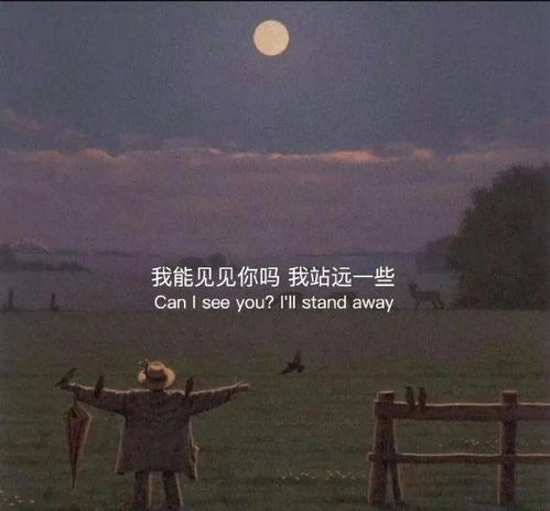 挽回双鱼情话句子图片,深情挽回：鱼与熊掌可兼得的情话