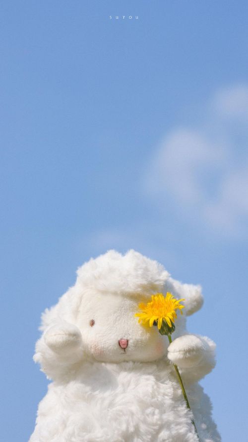 要卑微的去挽回,低调挽回：一步一个脚印走向复合