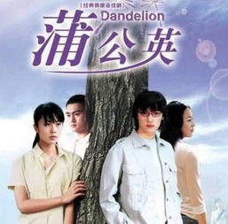 挽回女婿心意的视频,如何挽回女婿的心意？