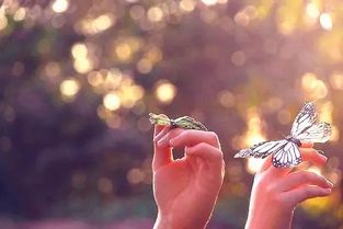 只怕不能挽回我们的生命，生命恐难挽回，后悔已无用。