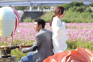 老婆挽回老公的视频,夫妻感情视频：妻子用真心挽回丈夫