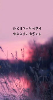 道歉挽回爱人的话语大全，挽回爱人的对话技巧大全，让爱情再次绽放