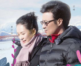 袁咏仪怎么挽回的张智霖,袁咏仪如何赢回张智霖