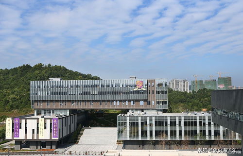 缘诚学院挽回丈夫,缘诚学院的解决方案成功挽回丈夫