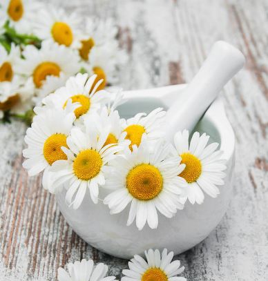 道歉挽回花束文案简短，抱歉致歉，用花束表达对您的歉意