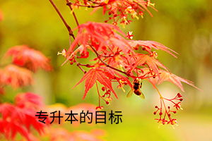 挽回甜蜜番茄阅读下载,怎样挽回失去的爱情？——甜蜜番茄心得分享