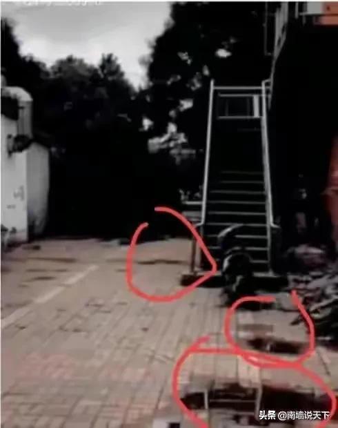 抖音挽回女孩视频,男子闯红灯后用抖音挽回追逐的女孩