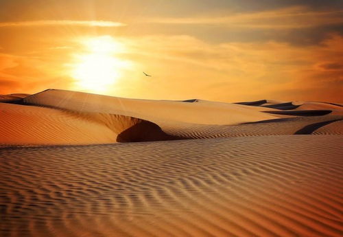 挽回路上很煎熬,如何挽回感情，温情路上匍匐前行