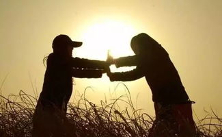 怎样的爱可以挽回，如何用真诚的心去感化他人，解救坠入困境的爱情