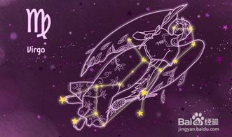 重新挽回狮子座,如何挽回狮子座：有效方法与技巧