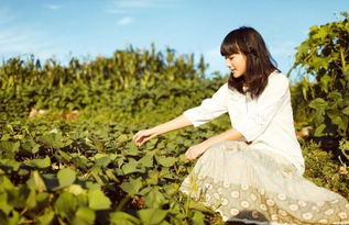 怎样挽回你的爱人,恢复爱情的秘籍