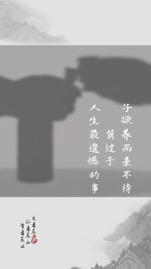 有些遗憾无法挽回,错失良机，无法弥补