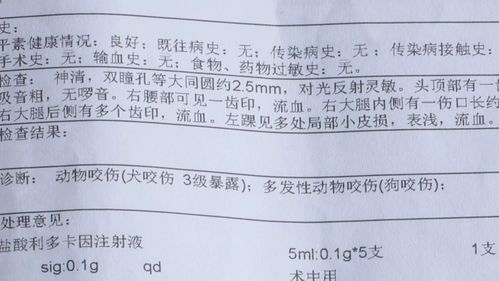 双子男挽回的表现,如何挽回双子男：有效行动计划