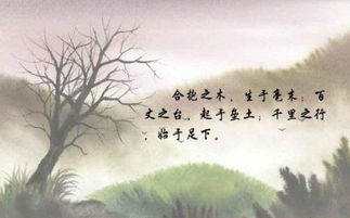 挽回前任的压轴句子,挽回前任的最后一招，教你成功复合