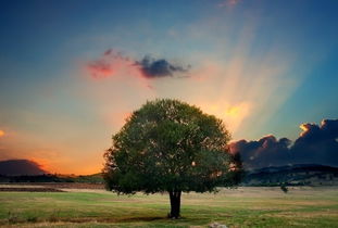 如水覆地难以挽回,无法挽回的局面