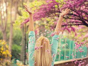 帮你挽回背景图，新标题：如何挽回失去的爱情？