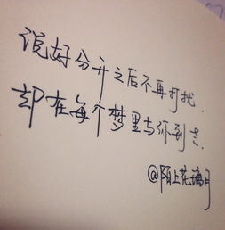 挽回女友的伤感语录,挽回爱情的感人语句