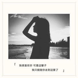 我不想挽回你说说,放下属于你的爱。