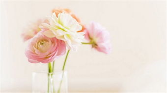 大家最长多久挽回前任，挽回前任：时间不限，方法需得当