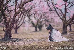 呼唤和平分手挽回,挽留和平分手