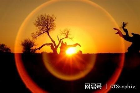 被雷劈怎么才能挽回,当标题被雷劈怎样挽回