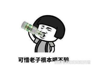 搞笑主播挽回形象,稳住，别抢我的毛衣，主播重新出发