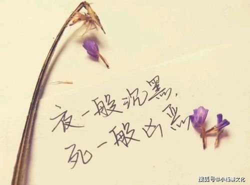 背叛不能挽回的句子,无法挽回的叛逆之舞)