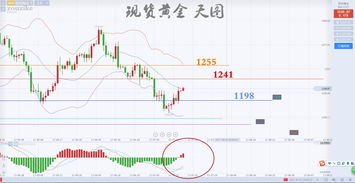 挽回局势的体育名词,逆袭之路：体育场上的翻盘