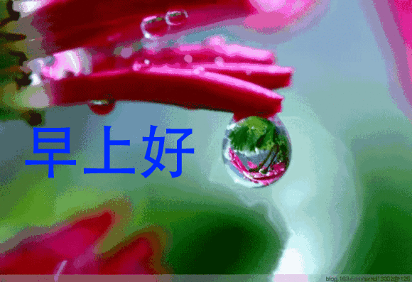 挽回老婆的早安话,如何用早安话挽回老婆