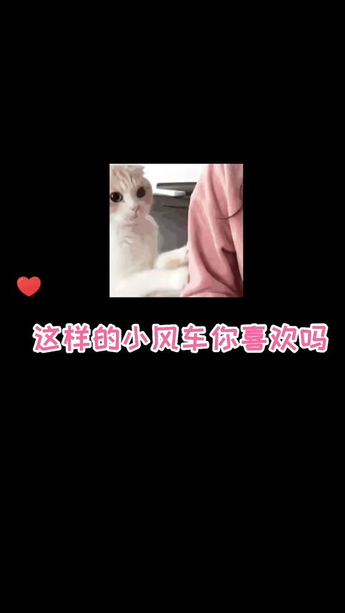 惊喜躲不开怎么挽回,惊喜莫挽回，只因太过珍惜