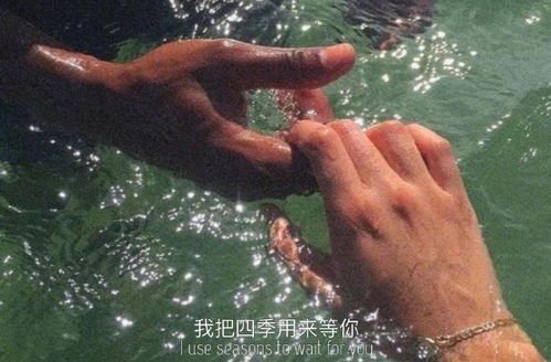 如何正确挽回摩羯,挽回摩羯的正确方法