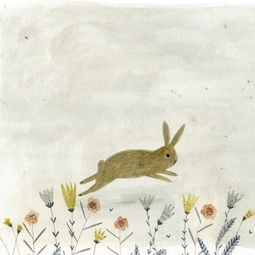 属兔女人挽回,如何让属兔女人重新爱上你