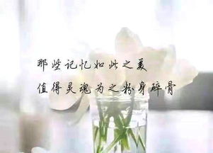 挽回死心绝情前女友,重拾旧爱，心心相印