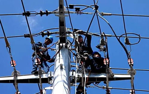 迅速送电挽回菜农损失,迅速抢修输电线杜绝农民损失