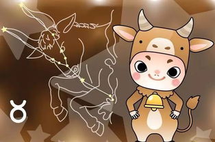 金牛男如何挽回处女,挽回处女座女生，金牛男必读！