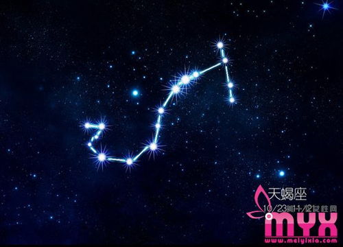 挽回天蝎很冷漠,如何赢回天蝎座的心？