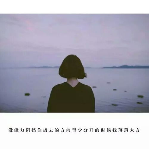 挽回失望型分手情话,重建失落爱情：重新挽回失落型分手)