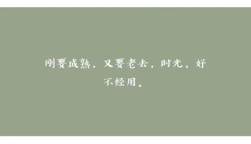 挽回前夫句子简短伤感,失去已婚 生命不完整