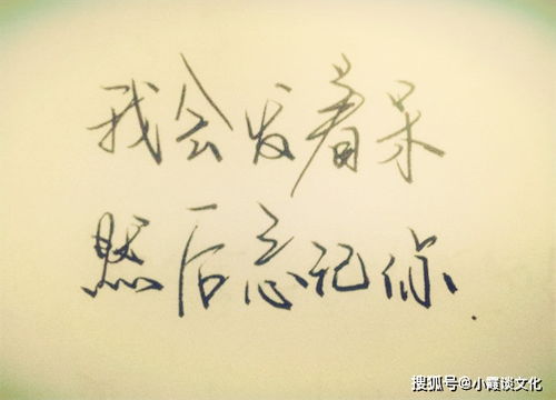 无法挽回怎么忘掉,如何释怀过去错失，重新开始？