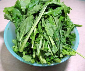 多吃菠菜变黑怎么挽回,挽救皮肤！多吃菠菜让肤色净白亮丽