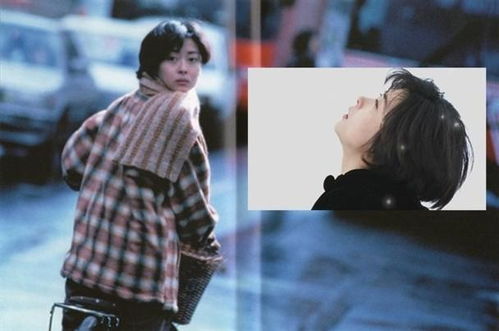 无法挽回易欣,无法挽回的易欣，命运多舛