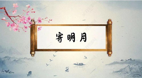 明月珰挽回书评,《明月珰》书评：珰珰今生只为唐朝