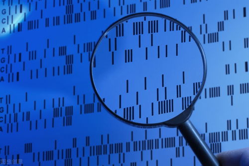 天秤男冷战怎么挽回,教你成功挽回与天秤男的关系