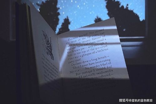 挽回就是蜕变过程,从失落到重生：挽回的蜕变历程