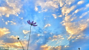 挽回友谊的最好方法,如何有效挽回友谊