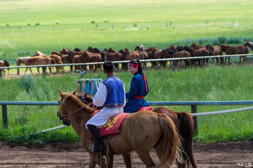 成都网上婚姻挽回机构,成都婚姻挽回机构，效果显著