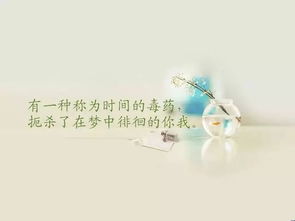 挽回女友最感动长句,触动心灵！拯救感情，挽回女友