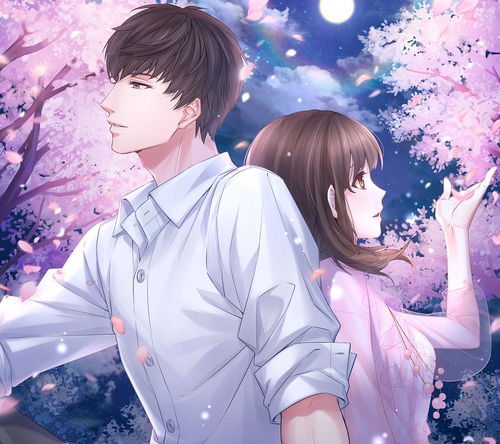 双子男挽回水瓶,如何让水瓶座重新追求双子男