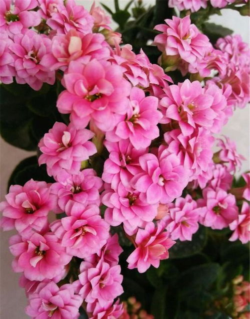 挽回的肢体进挪,重新挽回：重视肢体语言