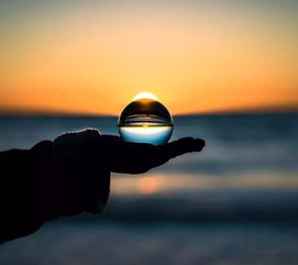 随缘顺其自然挽回,顺其自然，挽回爱情